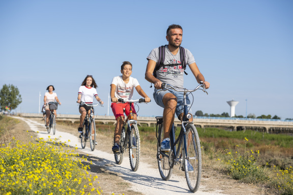 bike ride in Vendée